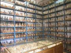 Museo Larco08